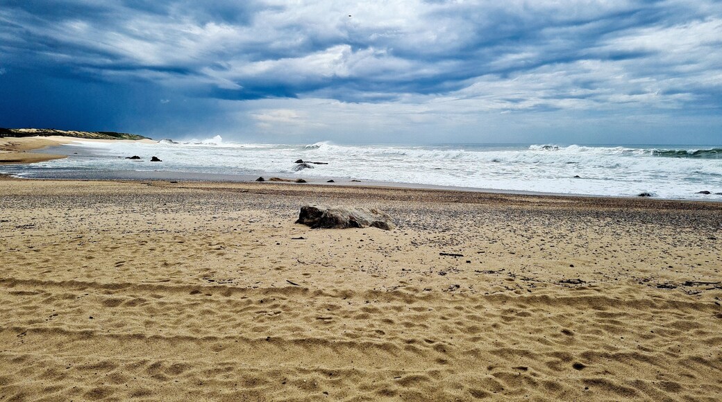 Praia da Madalena - Vila Nova de Gaia - Portugal