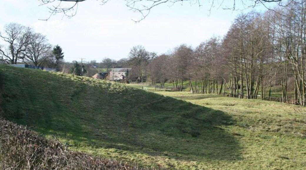 Winter Sun Looking towards Rhyd-Y-Cyffyn bridge along the Emral Brook.
