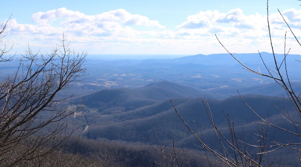 This photo was taken at a resting spot for hikers close to the Saddle Overlook looking toward Rock Castle Gorge.