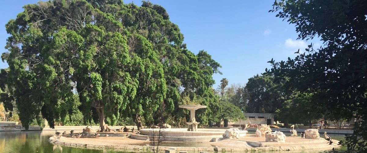 Zoo lake