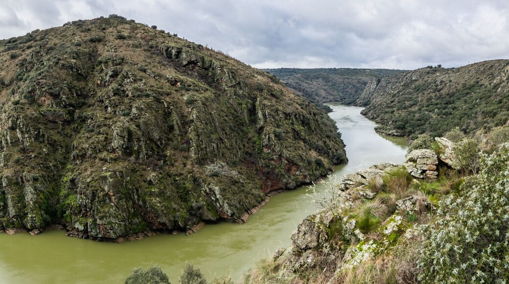 Panoramic photography of the area known as the Arribes del Duero in Zamora, Spain. The metal arch bridge known as Puente Requejo is seen