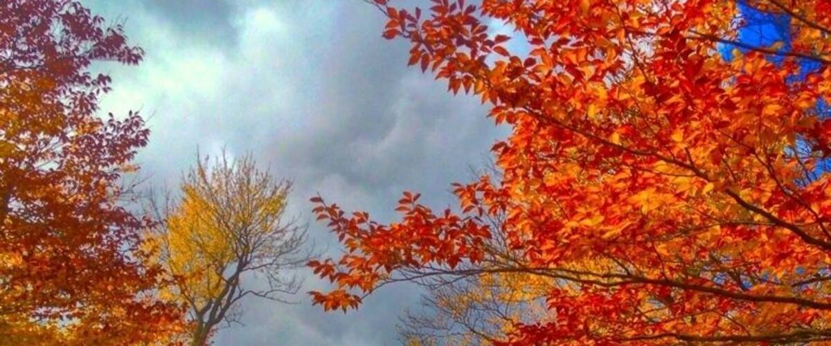 Another nice foliage spot Oct 12-18th is peak in this area of NH usually