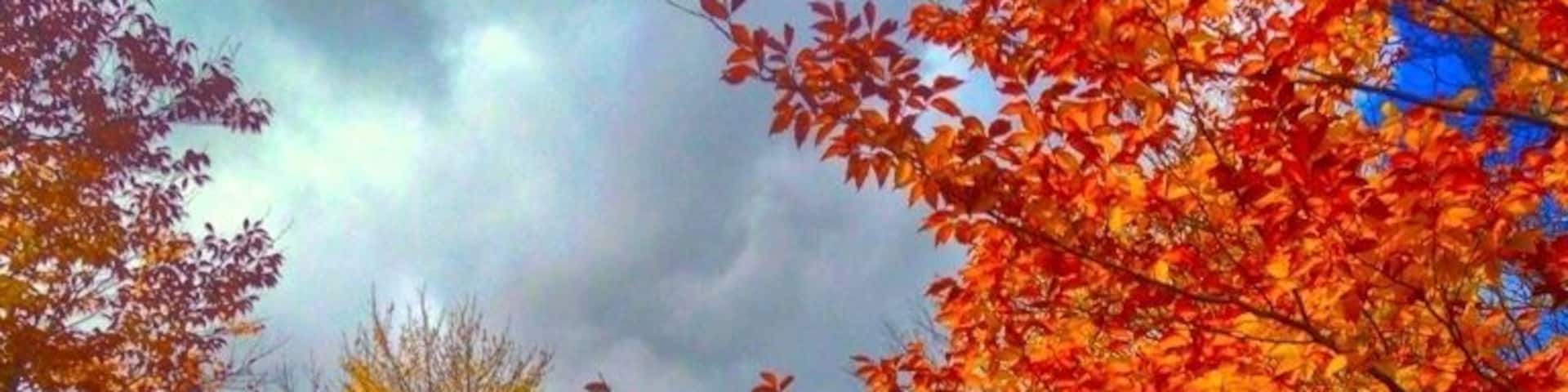 Another nice foliage spot Oct 12-18th is peak in this area of NH usually