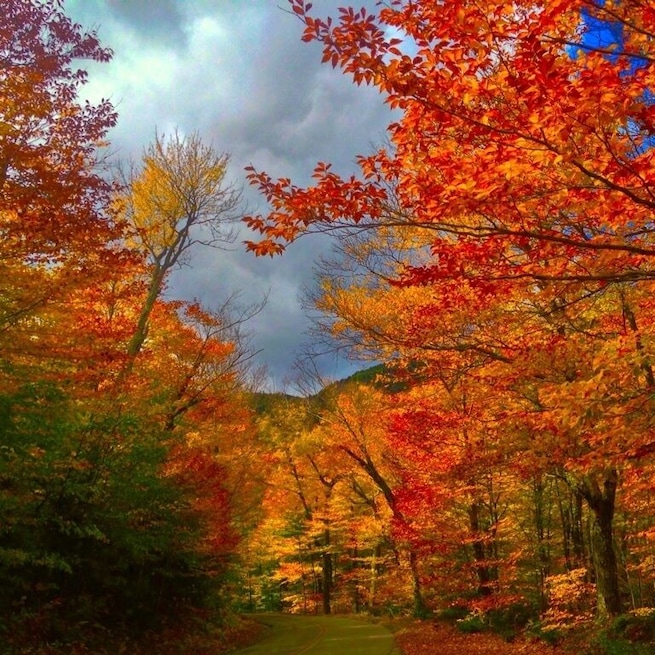 Another nice foliage spot Oct 12-18th is peak in this area of NH usually