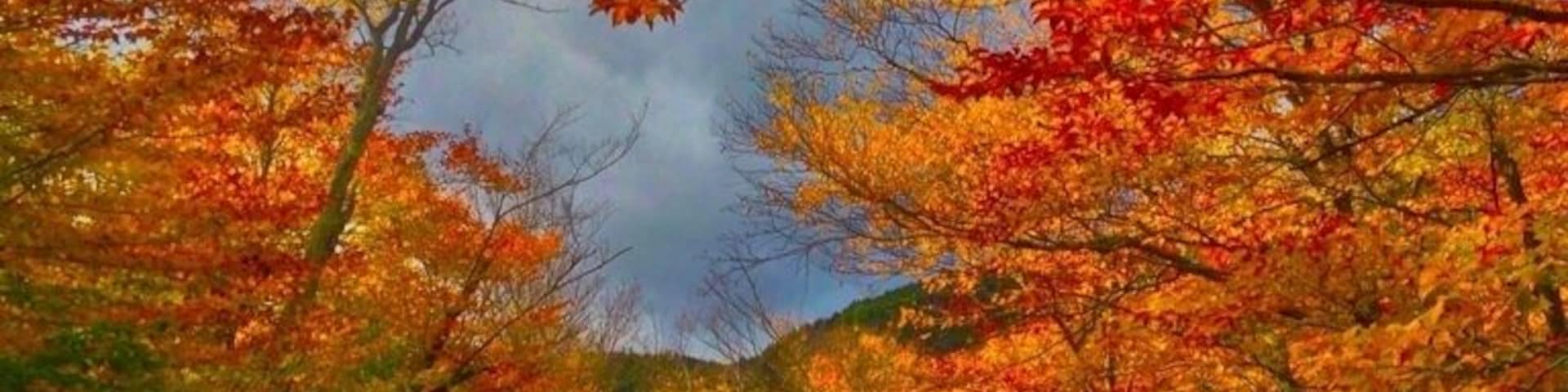 Another nice foliage spot Oct 12-18th is peak in this area of NH usually