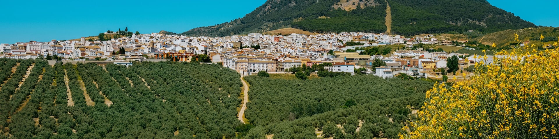 Rute, Andalusia, Spain, panoramic format