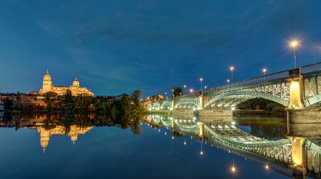 The Cathedral of Salamanca and the river Tormes with the Puente de Enrique Estevan at night