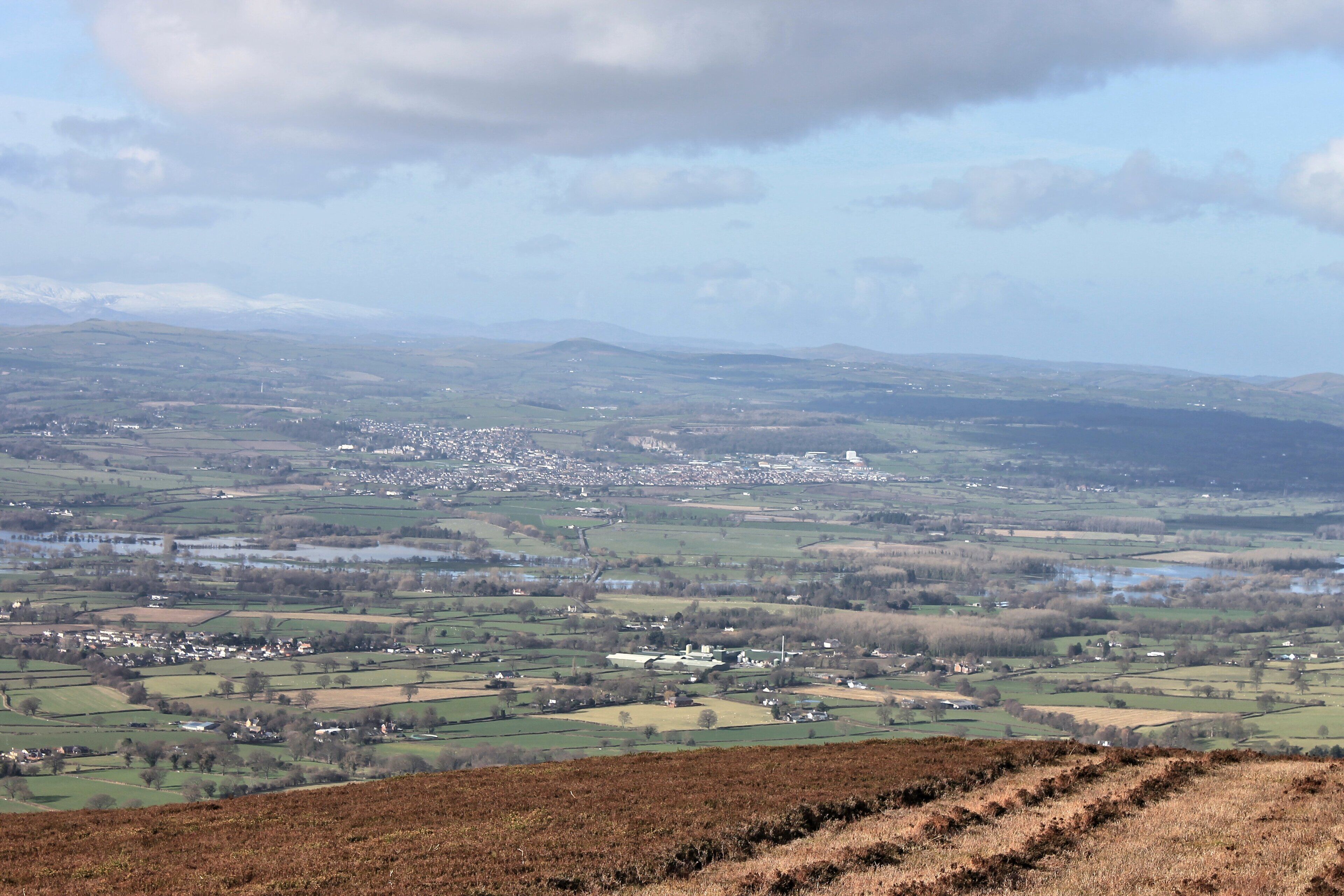 Moel Llys y Coed, Sir Ddinbych (Denbighshire), North Wales.