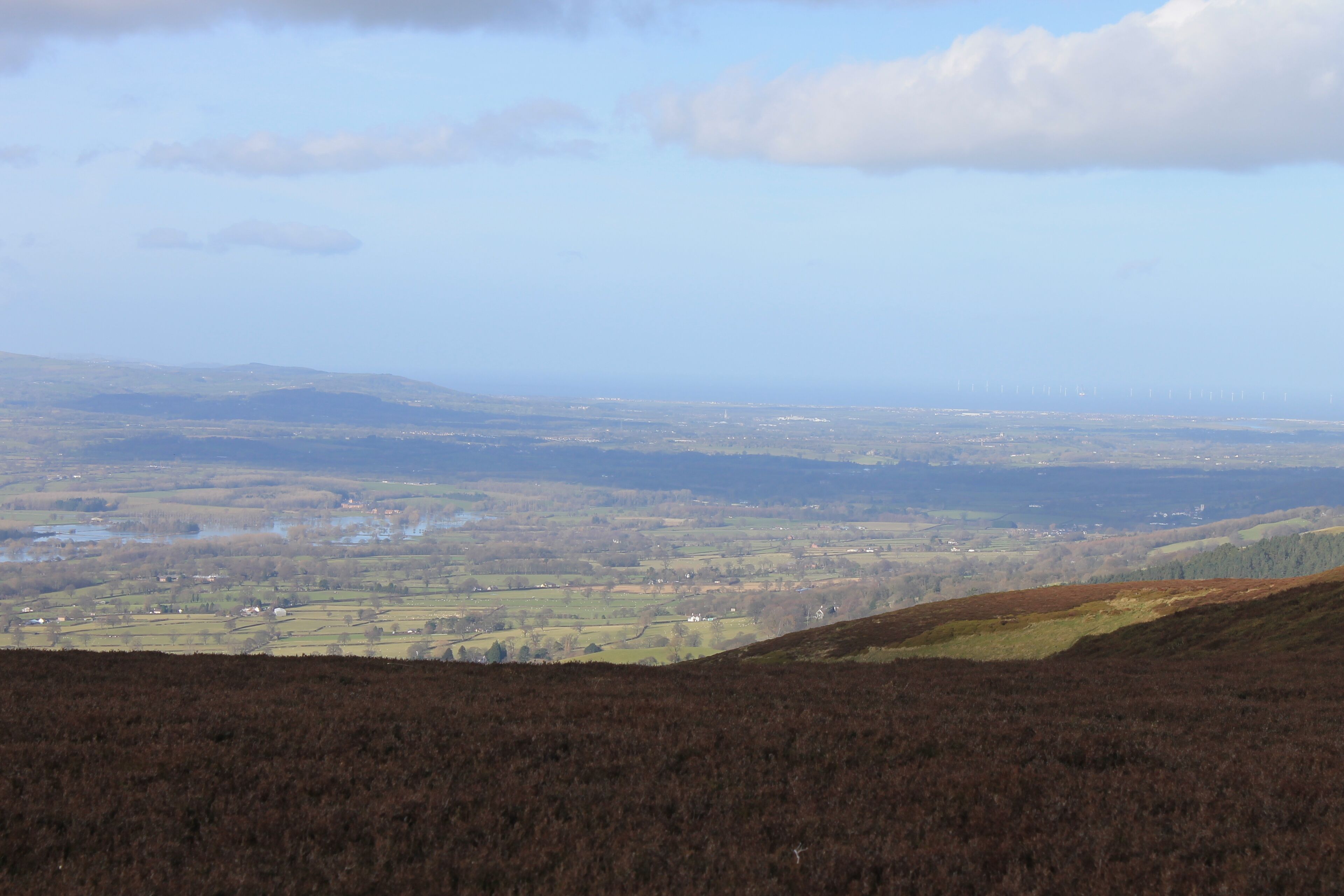 Moel Llys y Coed, Sir Ddinbych (Denbighshire), North Wales.