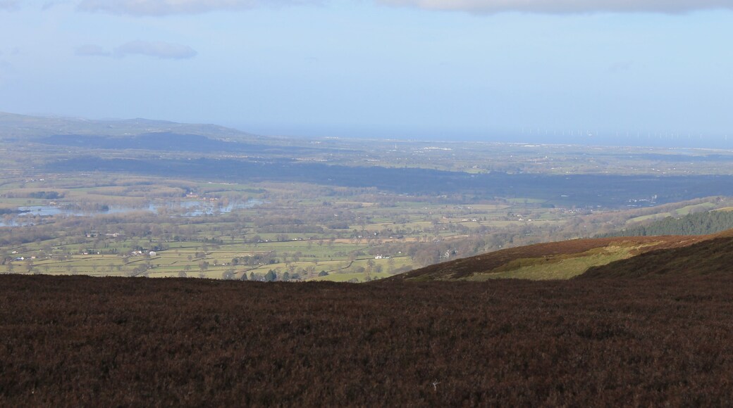 Moel Llys y Coed, Sir Ddinbych (Denbighshire), North Wales.