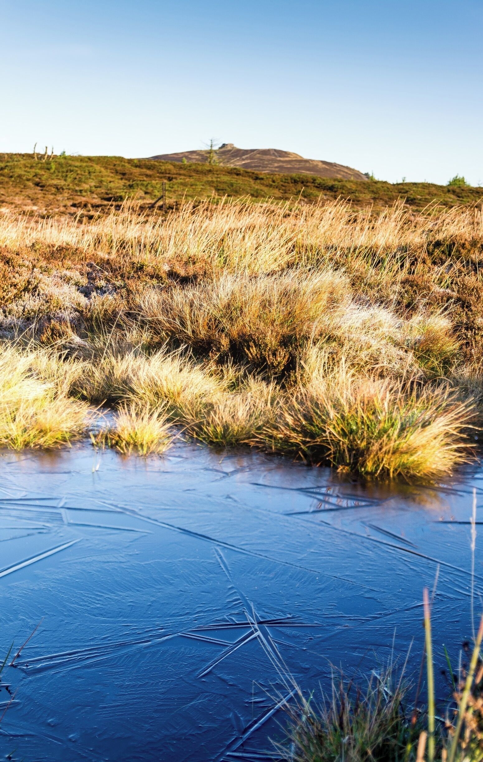 I've really taken more interest in intimate landscapes in recent months. I'd already been to the summit of Moel Famau for sunrise, and only noticed these icy pools on my way back down. I love the look of the ice formations alongside the rough grasses, and went with the vertical framing to take into account the summit of the mountain.

#moelfamau #clwydianrange #northwales #ice #focusstack #welshmountain #BvSApplication #bvsmountains #BvSBlue