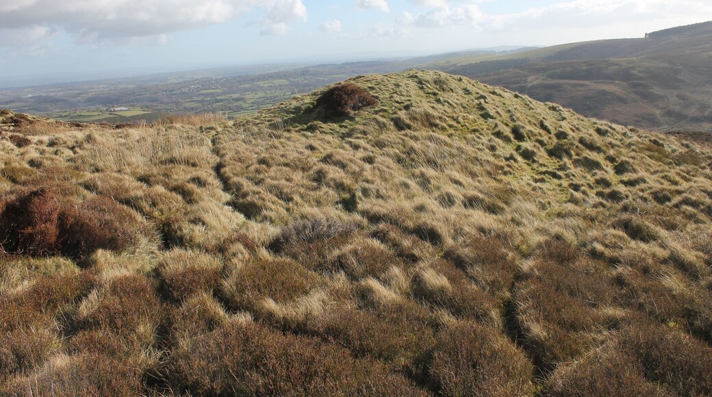 Moel Llys y Coed, Sir Ddinbych (Denbighshire), North Wales.