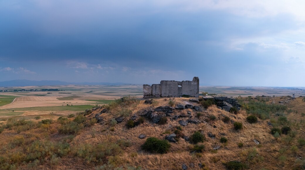 PĂĄramos del Esgueva
