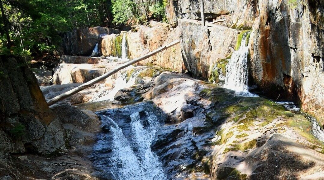 Great place to cool of in the summer heat