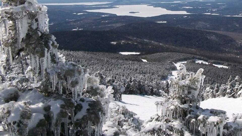 A snowy landscape with icicles hanging from trees and a lake in the distance.