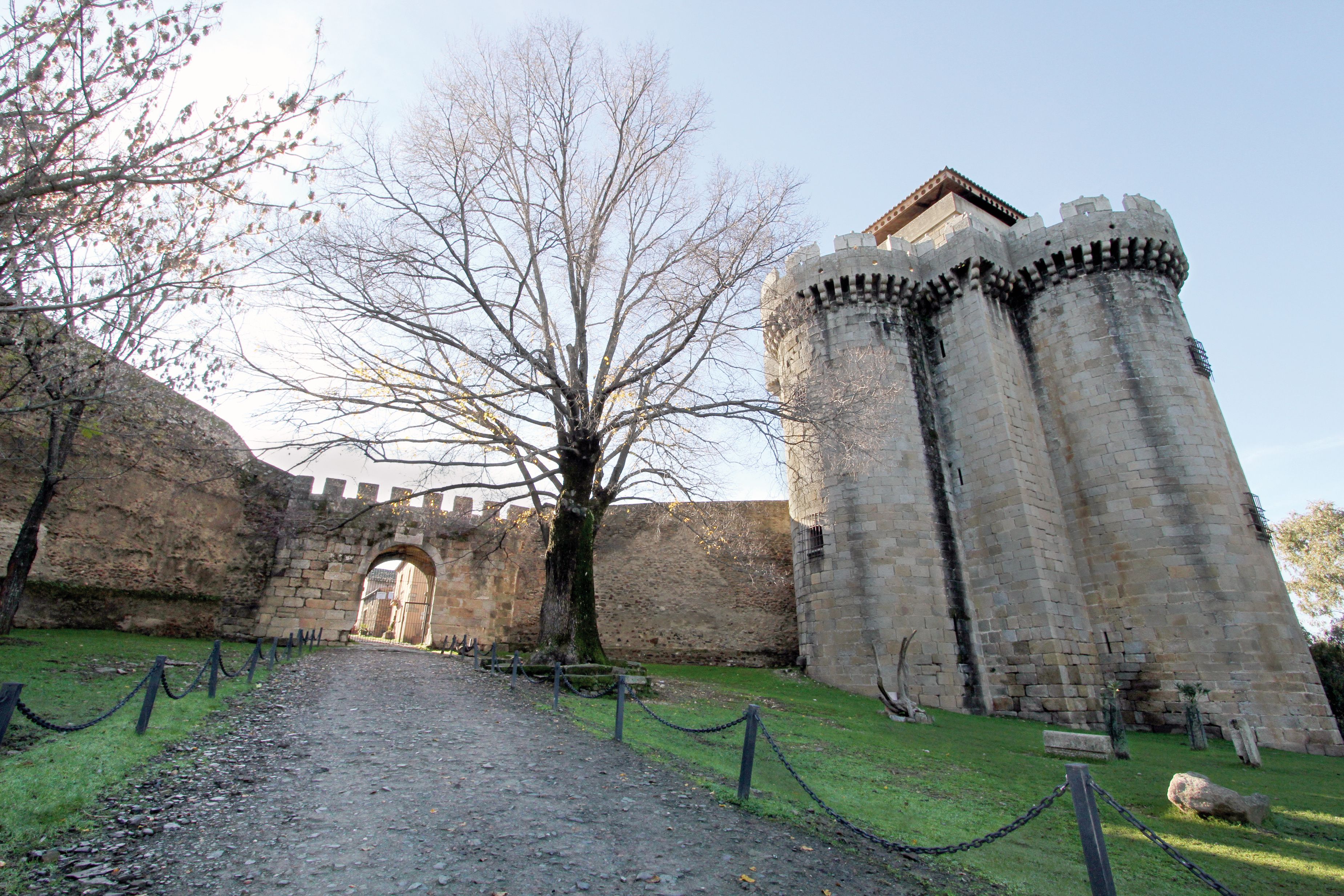 A historic stone gate, a large tree, and a castle tower.