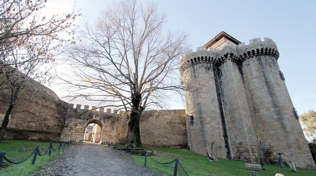 A historic stone gate, a large tree, and a castle tower.