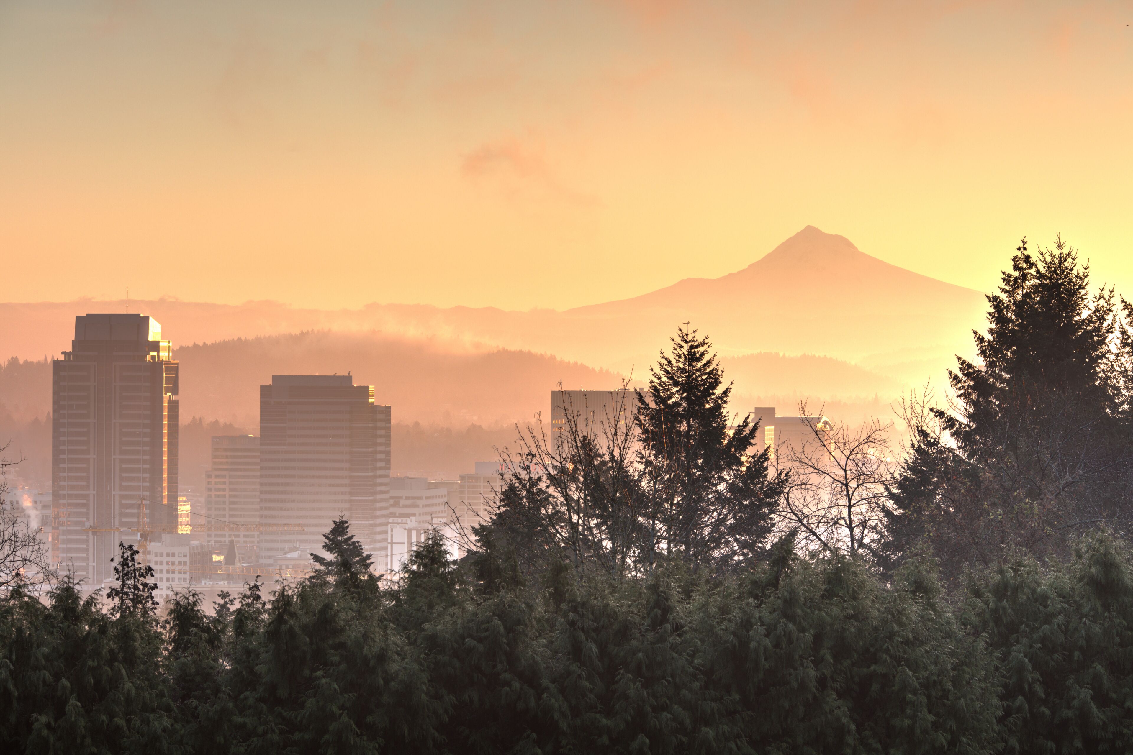 Fogyy golden sunrise over Portland, Oregon skyline with Washington Park in foreground and Mt. Hood in the distance