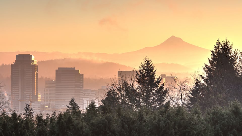 A cityscape with tall buildings, a mountain in the background, and dense forest in the foreground.