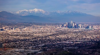 Wide Downtown Los Angeles Snow Peaked Mountains Aerial Photography