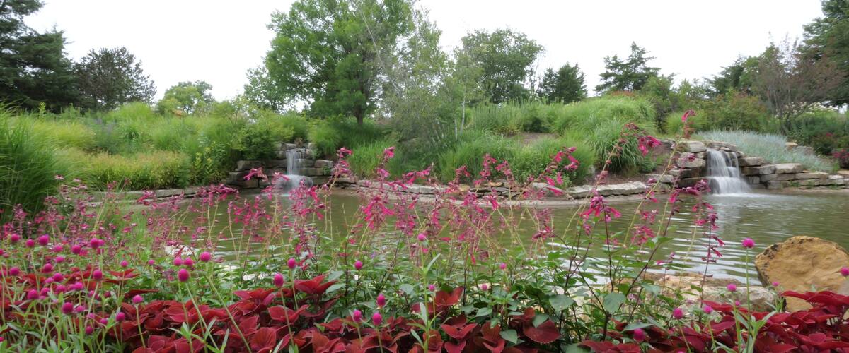 OP Arboretum on a Cool Cloudy Summer Day