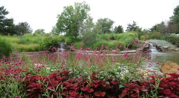 OP Arboretum on a Cool Cloudy Summer Day