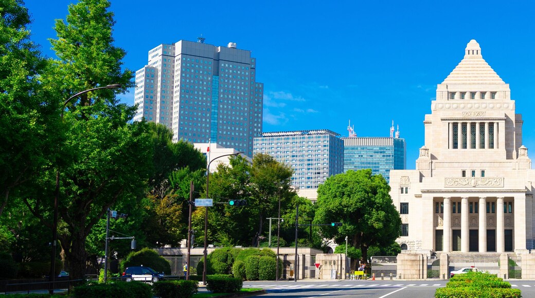 国会議事堂, 東京都千代田区永田町(Tokyo, Japan. National Diet Building)