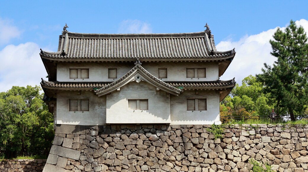 view of the castle of osaka -Japan-