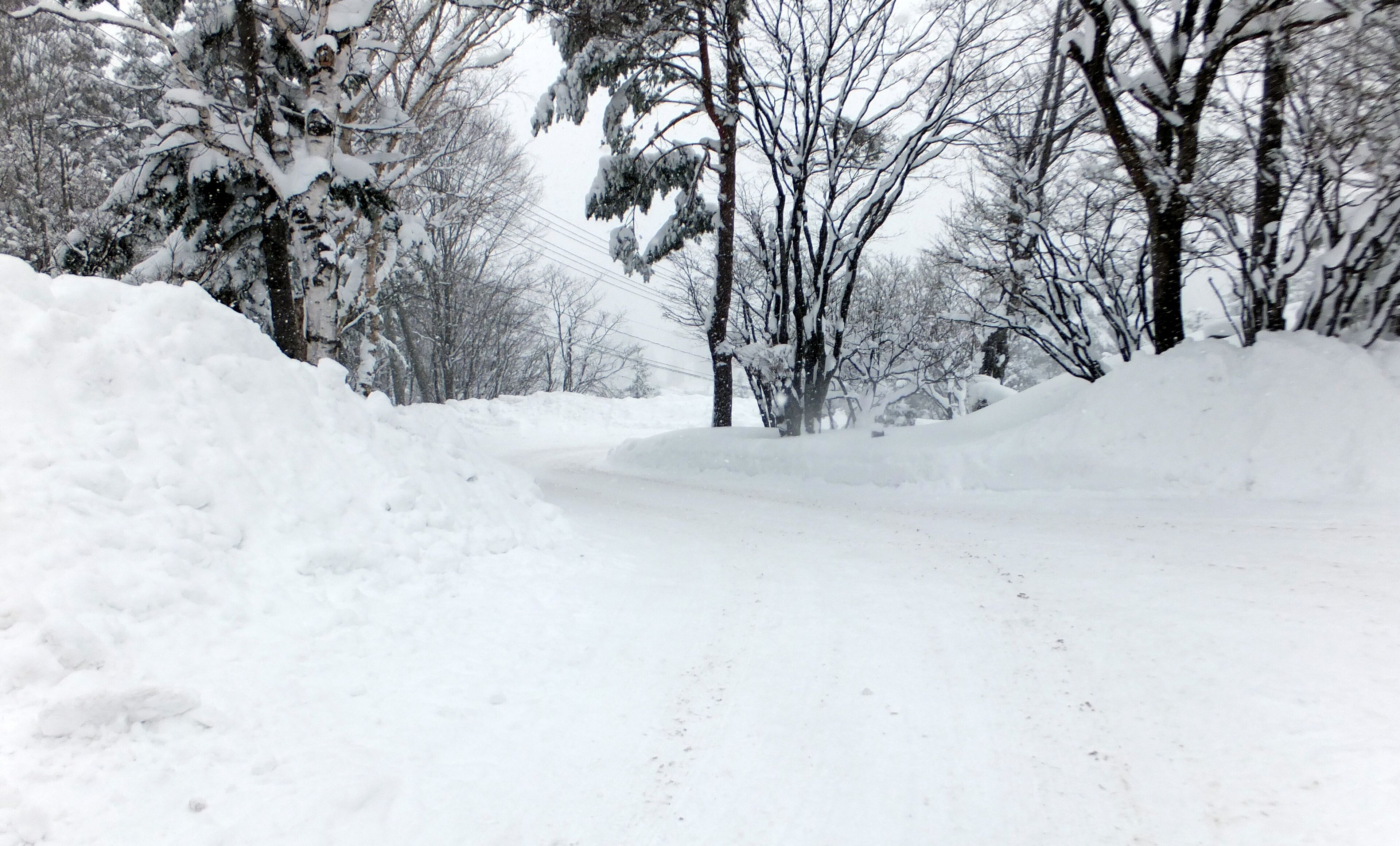 蔵王温泉宿からスキー場へ続く道