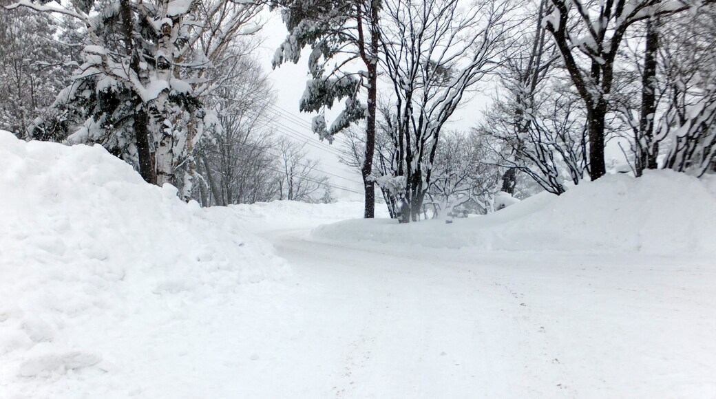 蔵王温泉宿からスキー場へ続く道