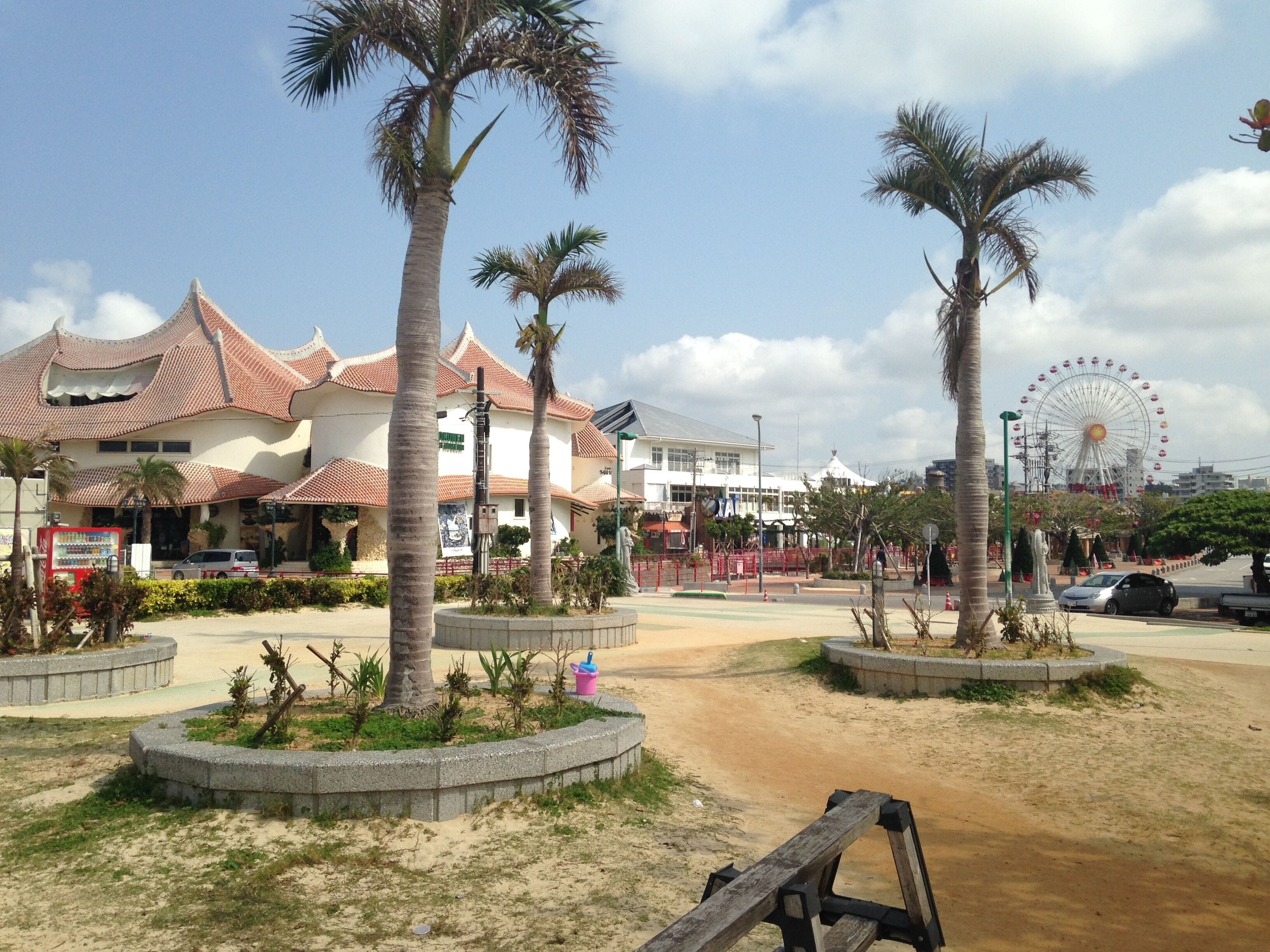 北谷サンセットビーチのヤシの木
