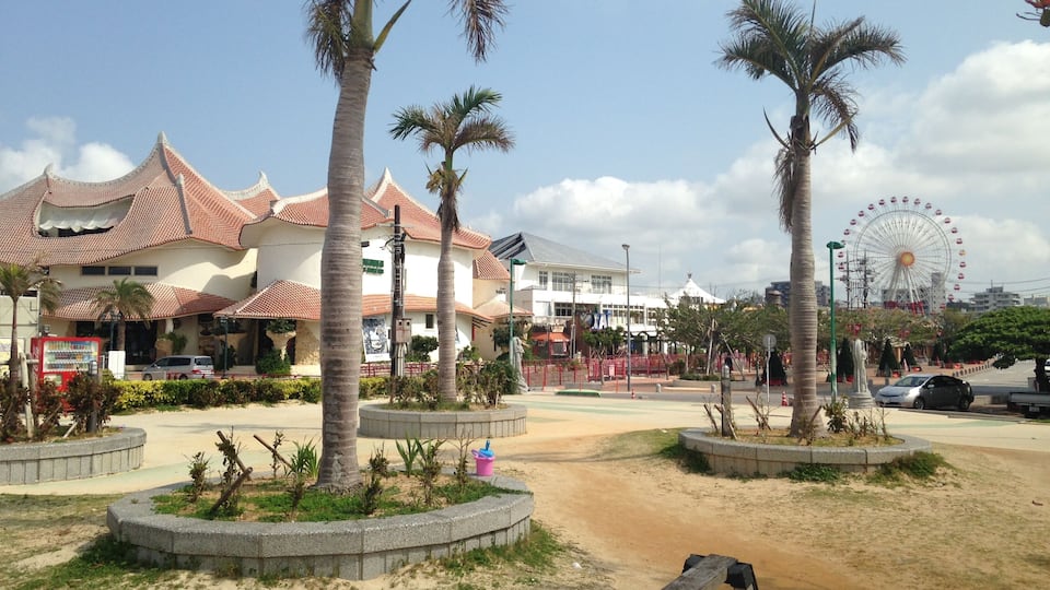 北谷サンセットビーチのヤシの木