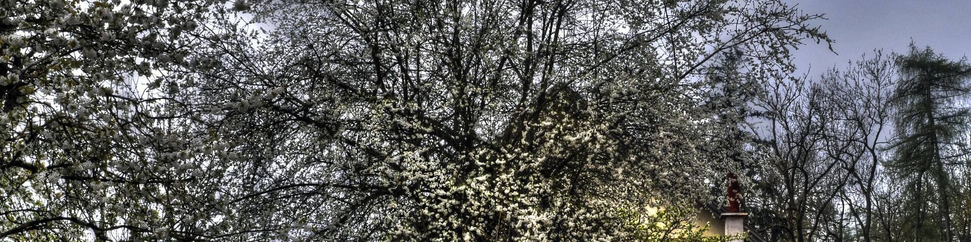 Das durch den Herzog von Oberbayern und Pfalzgraf bei Rhein Rudolf I 1292 gebaute Schloss ist heute im Besitz von Luitpold Prinz von Bayern. Der wiederum ist der Urenkel des letzten Bayrischen Königs Ludwig III und bewohnt das Schloss. Das Schloss ist nicht nur Schauplatz der alljährig stattfindenden "Kaltenberger Ritterspiele" sonder auch wegen des hervorragenden Weißbieres, das in der schlosseigene "König Ludwig Schloss Brauerei" hergestellt wird, über die Landesgrenzen hinaus bekannt. Built by the Duke of Bavaria and Count Palatine of Rhine Rudolph I 1292, the castle is now owned by Prinz Luitpold of Bavaria. He is the great-grandson of the last Bavarian king Ludwig III and inhabited the castle. The castle is not only the scene of the each year held "Kaltenberger Ritterspiele". It is also known because of the excellent white beer that is manufactured in the castle's own "King Ludwig's Castle Brewery".