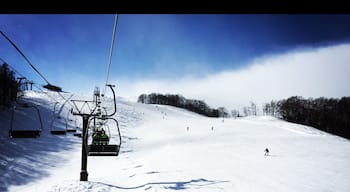 Skiing in January. We had lessons at the Evergreen ski school. #Japan #snow #skiing