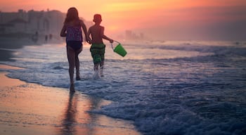 ํฌ๋ ์ผํธ ๋น์น