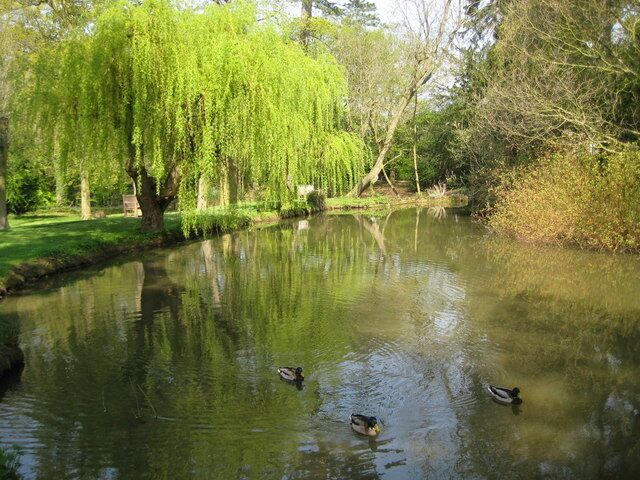Carpenders Park Lawn Cemetery: The Lake The lake appears to have originally been a man-made fish pond in the grounds of the original Carpenders Park estate, created by damming up the Hartsbourne Stream.