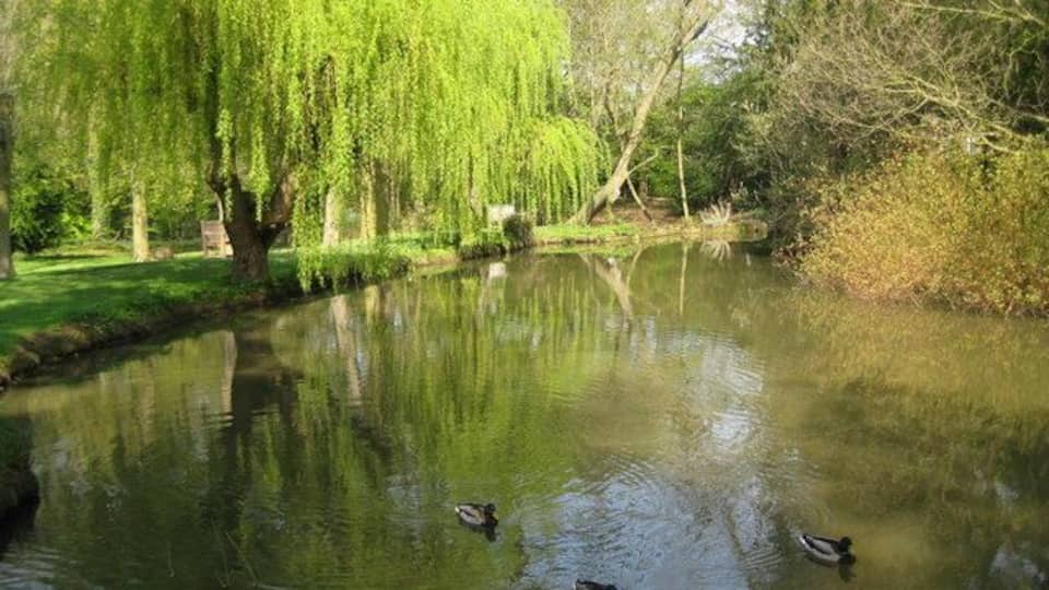 Carpenders Park Lawn Cemetery: The Lake The lake appears to have originally been a man-made fish pond in the grounds of the original Carpenders Park estate, created by damming up the Hartsbourne Stream.