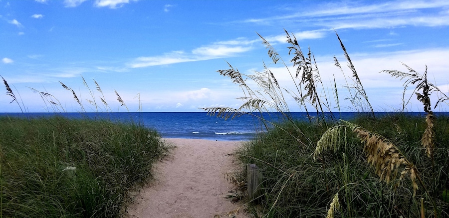 Sometimes it's good to stop & enjoy the view.. (no filter necessary on this beautiful day) (6/18/19)