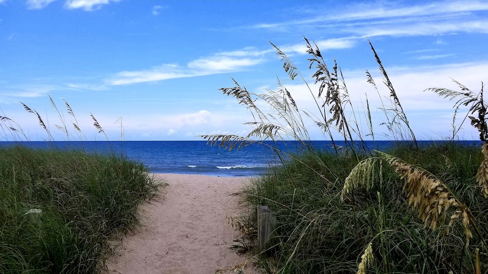 Sometimes it's good to stop & enjoy the view.. (no filter necessary on this beautiful day) (6/18/19)