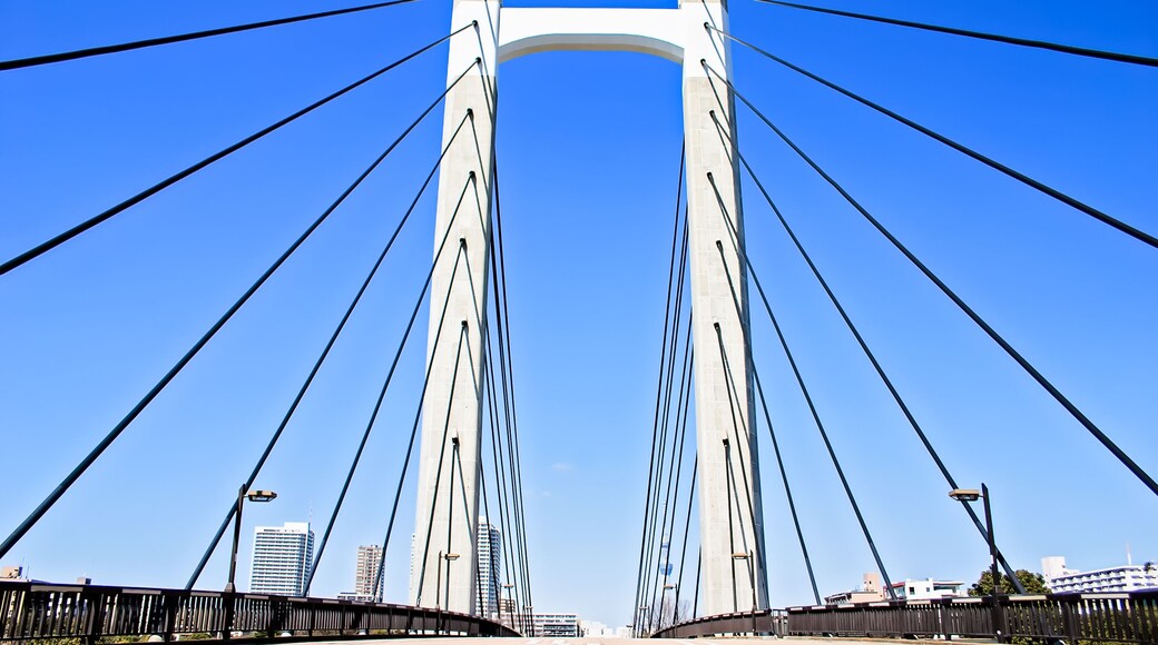Bridge at Kiba Park, Kotu-ku, Tokyo, Japan in early morning with blue sky