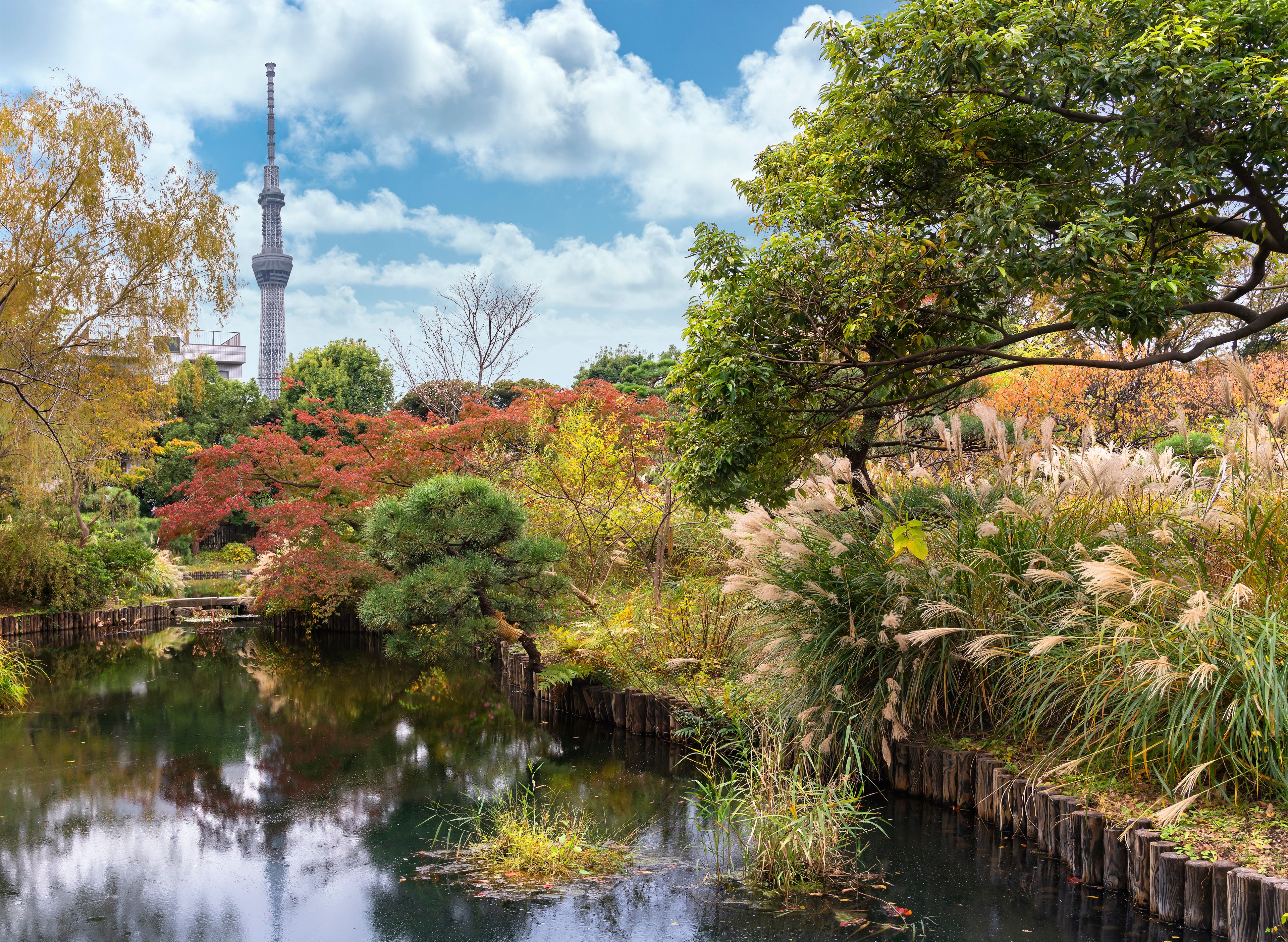 A serene park with a pond, autumn foliage, and a distant tower.