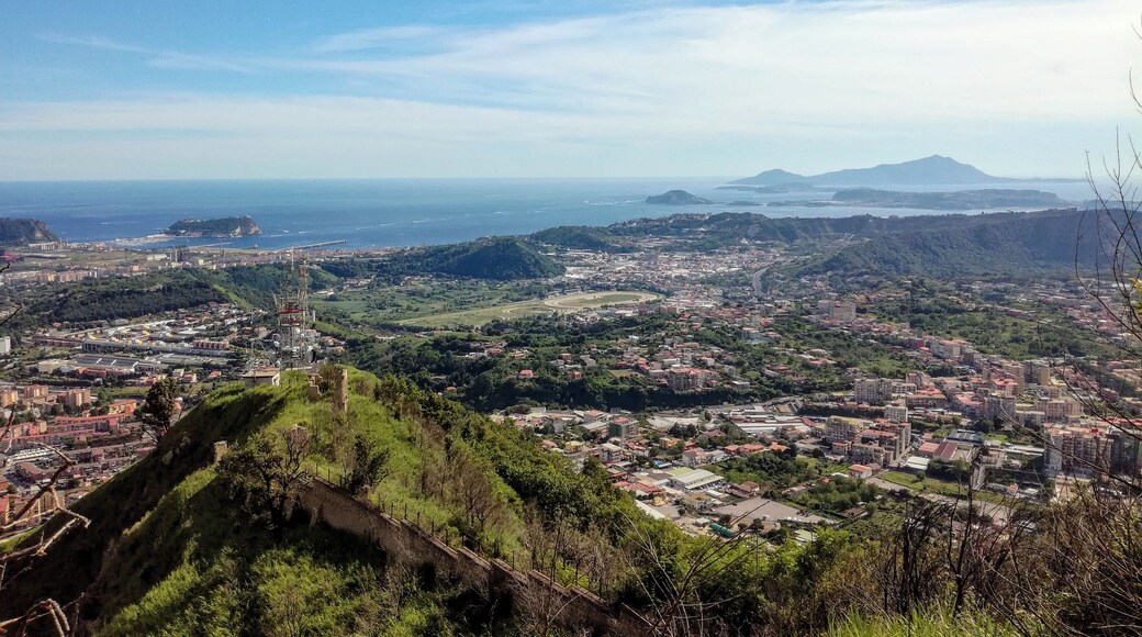 I Campi Flegrei dall'Eremo dei Camaldoli