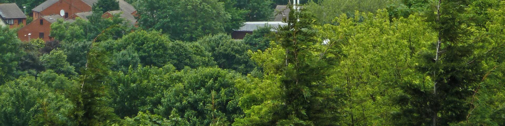 from Holbeck Cemetery
