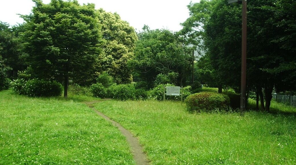 都立青山公園-1(北地域)