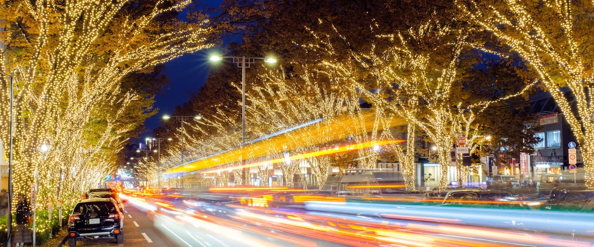 Une rue bordée d’arbres, illuminée la nuit.