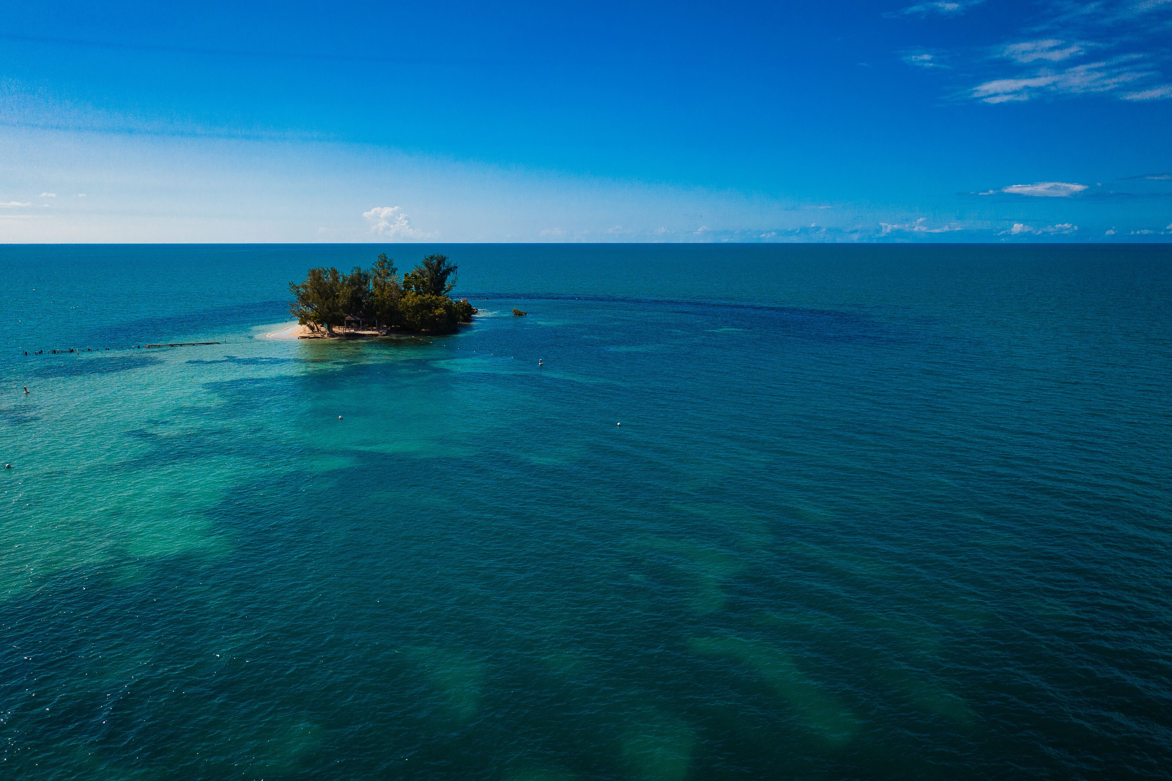 A clear blue sea with a small island covered in trees.