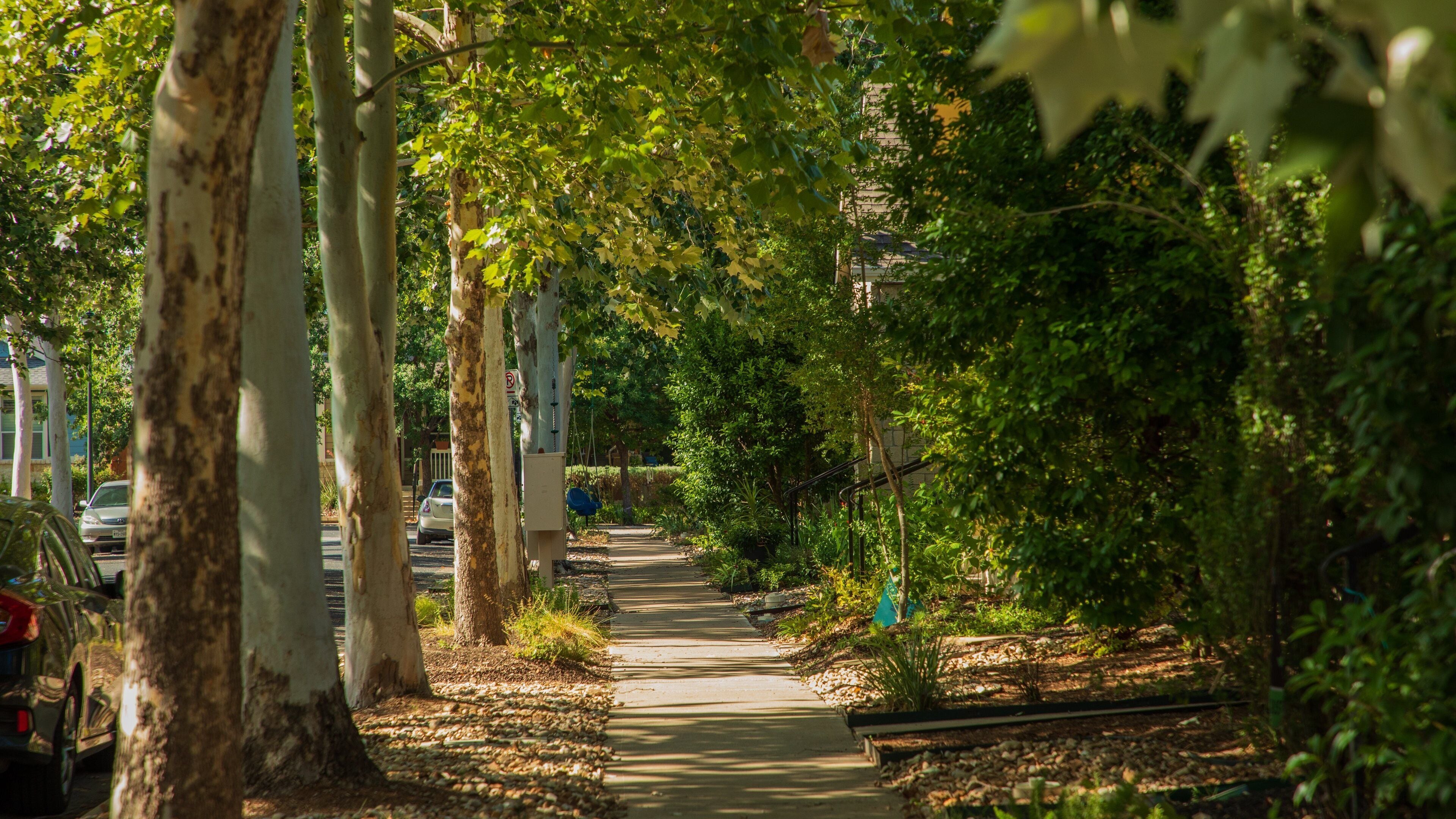 Mueller showing a garden