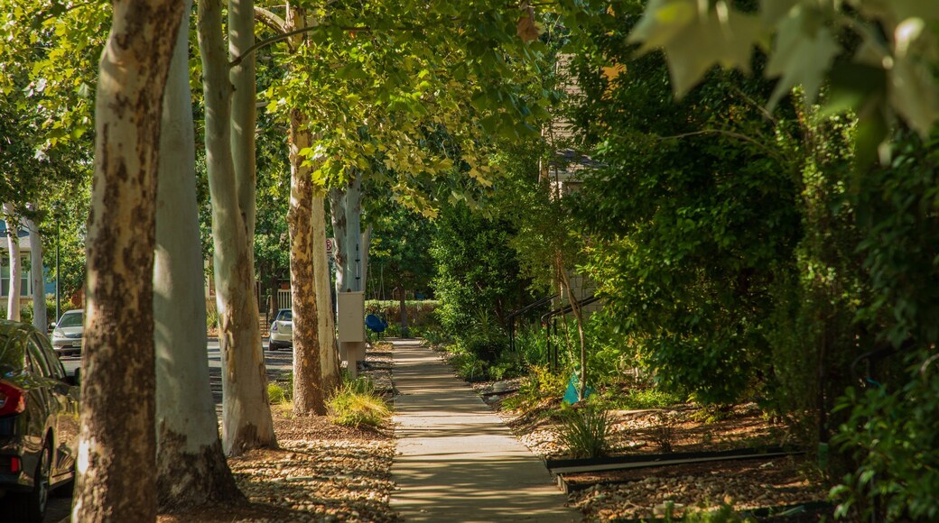 Mueller showing a garden