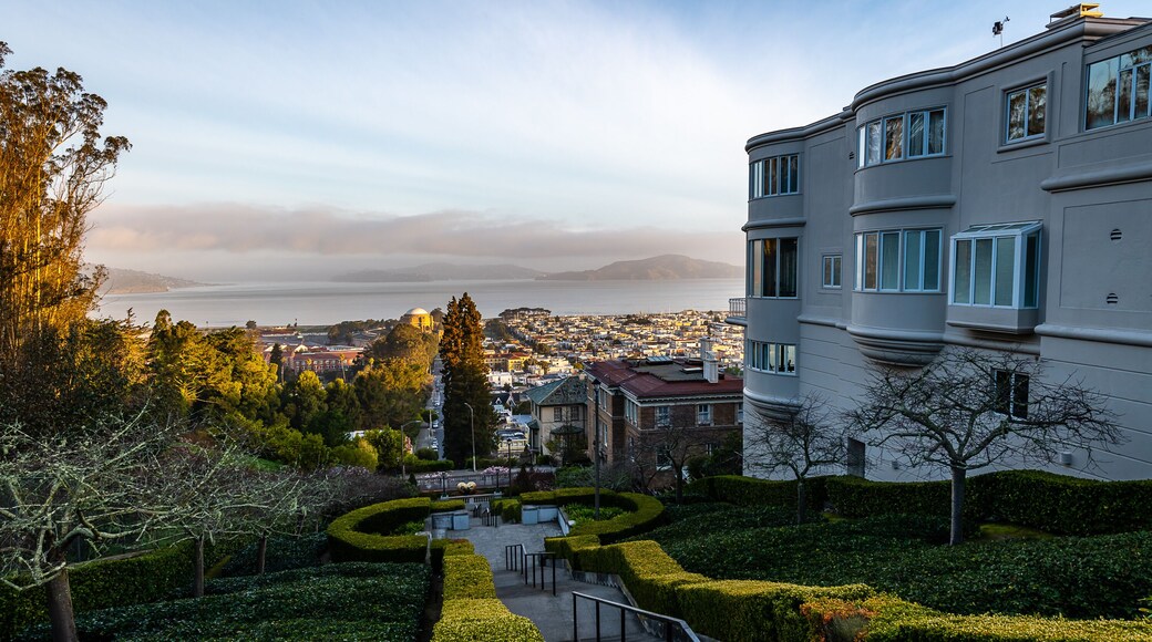 The Lyon Street Steps