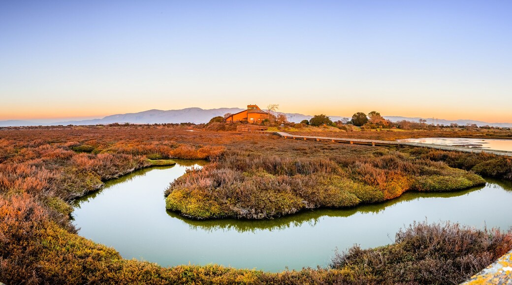 Wooden boardwalk through the tidal marshes of Alviso, Don Edwards San Francisco Bay National Wildlife Refuge, San Jose, California; sunset view